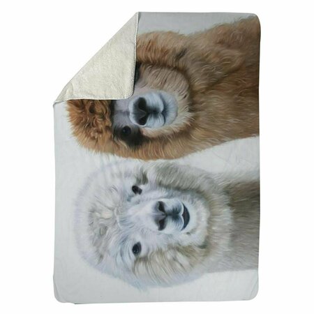 BEGIN HOME DECOR 60 x 80 in. Two Lamas-Sherpa Fleece Blanket 5545-6080-AN470